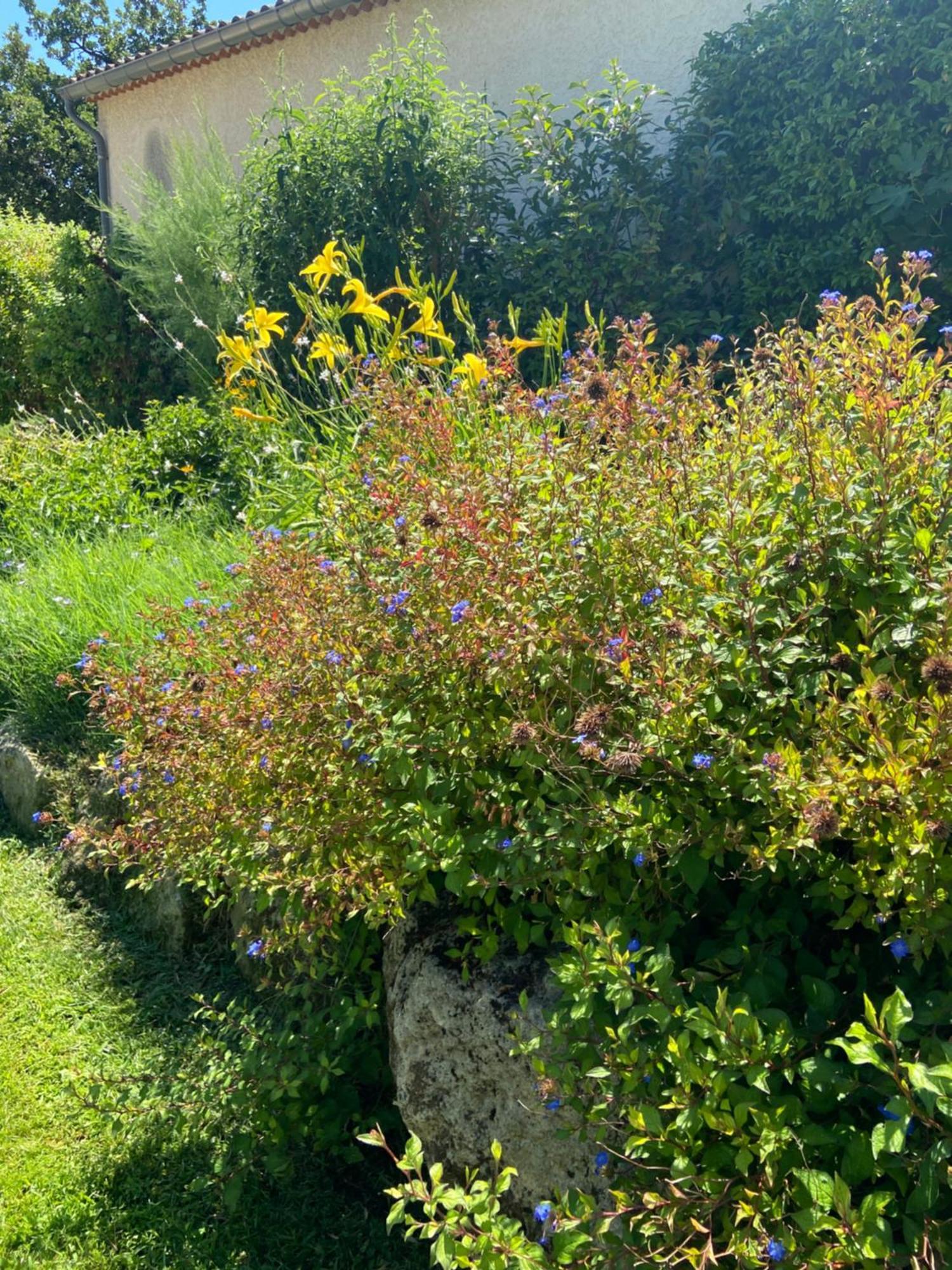 Paradis Provencal Villa - Espace Detente Et Bbq Lmv カルパントラ エクステリア 写真
